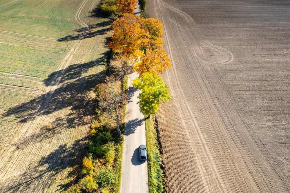 10 najbarwniejszych miejsc do zwiedzenia jesienią w Polsce - Mazda Slow Road