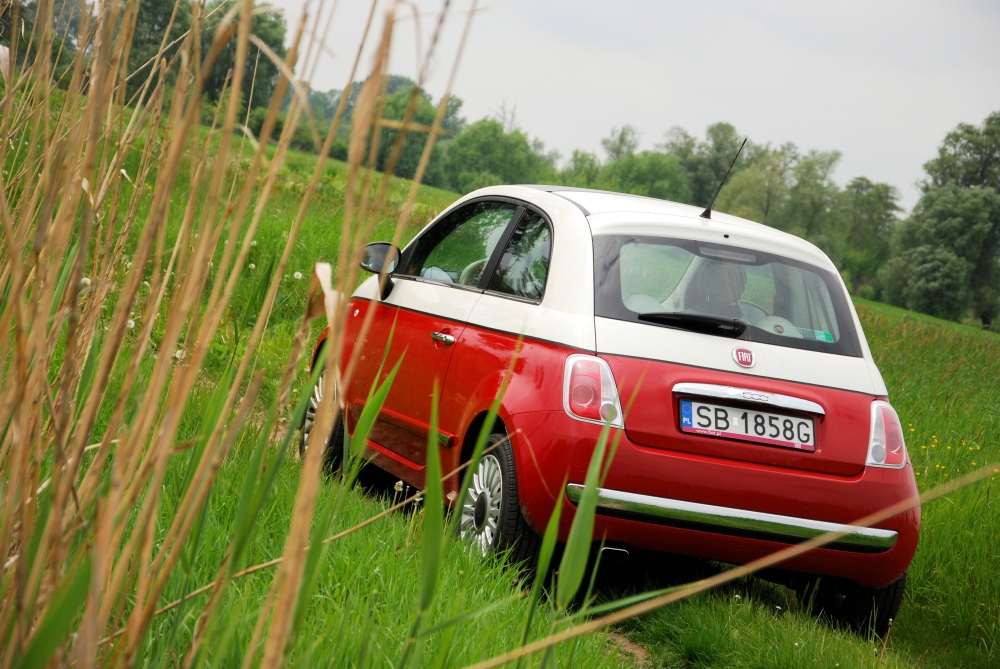 EcoTest 2011