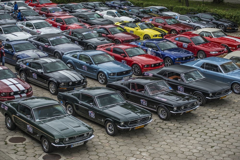 Ogólnopolski zlot Mustangów 