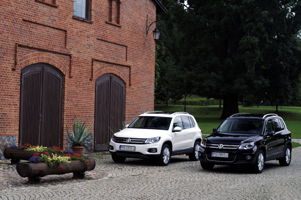 Rekordowy wynik sprzedaży Volkswagena w Polsce 