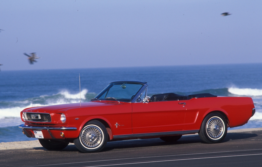 Mustang Charliego Sheena na aukcji 