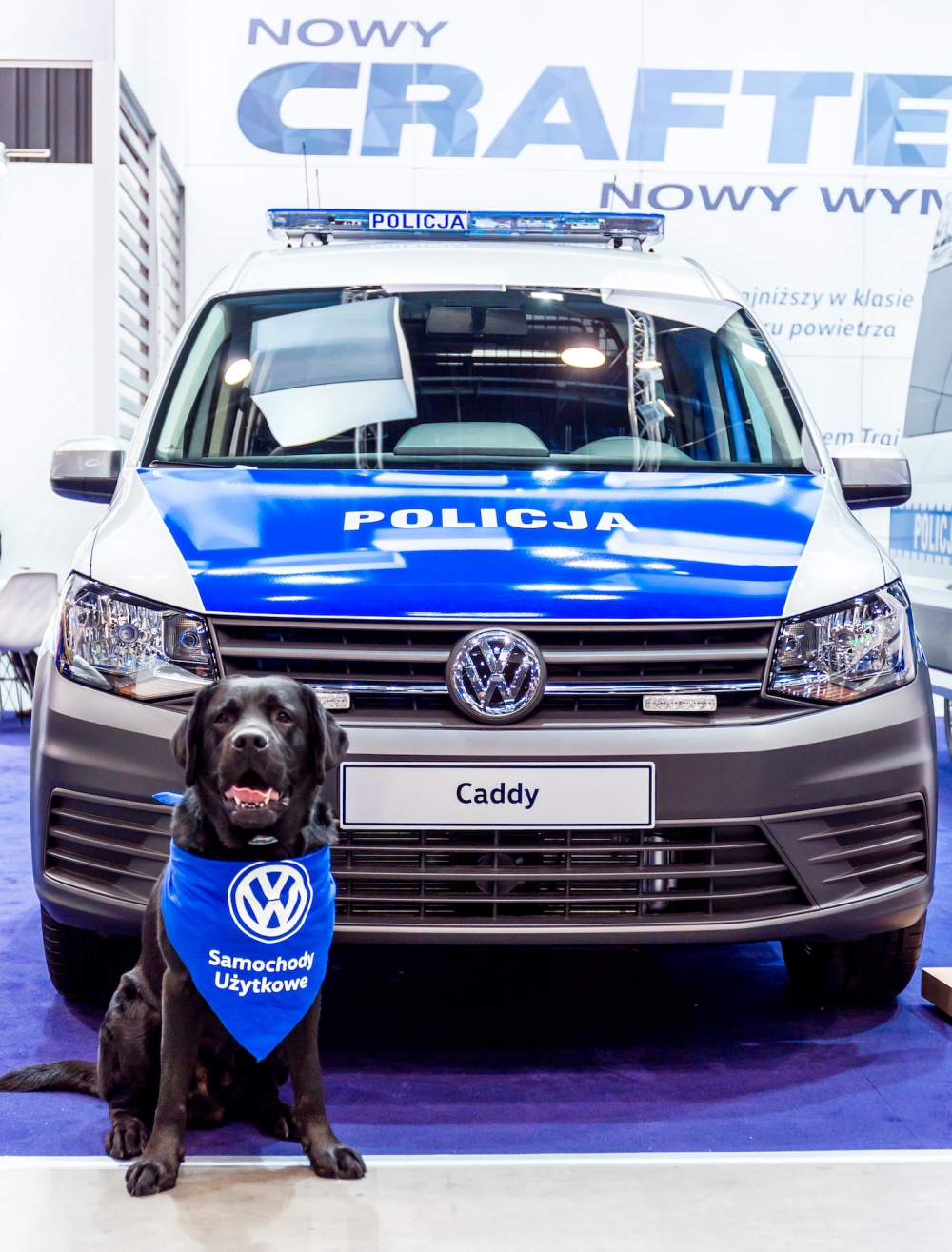 Volkswagen odnotował na świecie dwucyfrowy wzrost dostaw nowych samochodów 